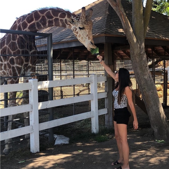 EXPRESS tube top - Picture 6 of 6